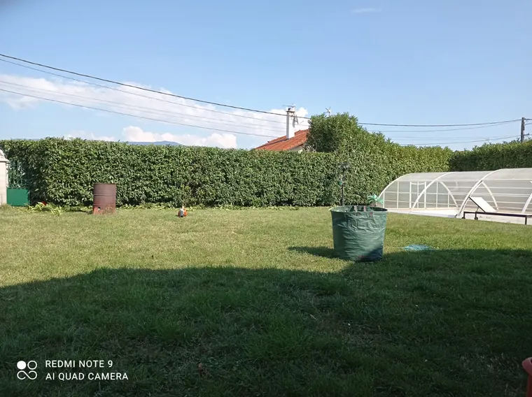 Pelouse bordée de haies dans un jardin