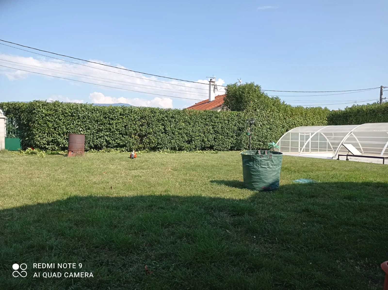 Pelouse bordée de haies dans un jardin