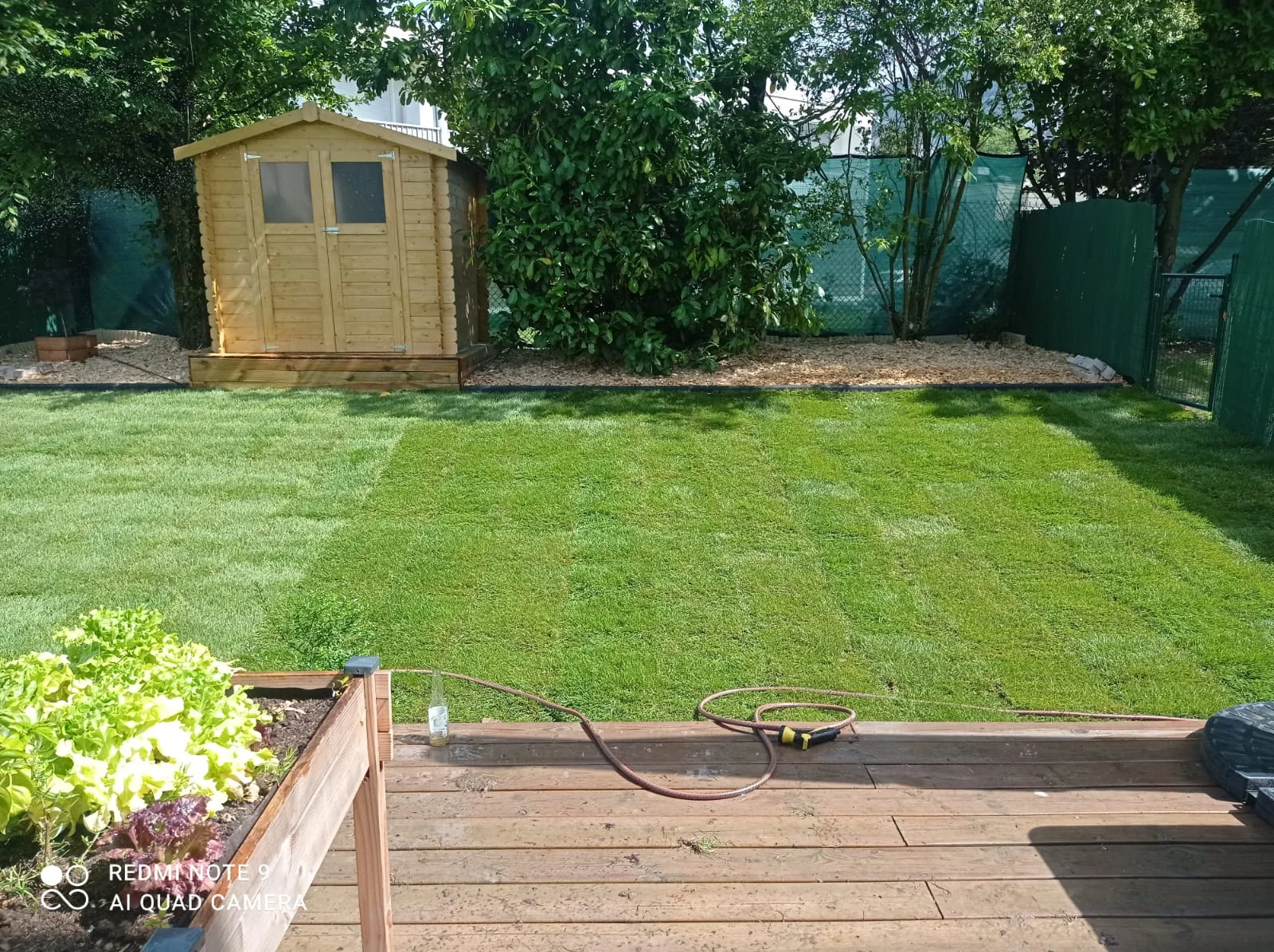 Pelouse verte aménagée avec abri de jardin
