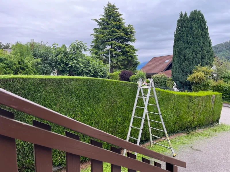 Haies taillées dans un jardin à proximité d’une maison