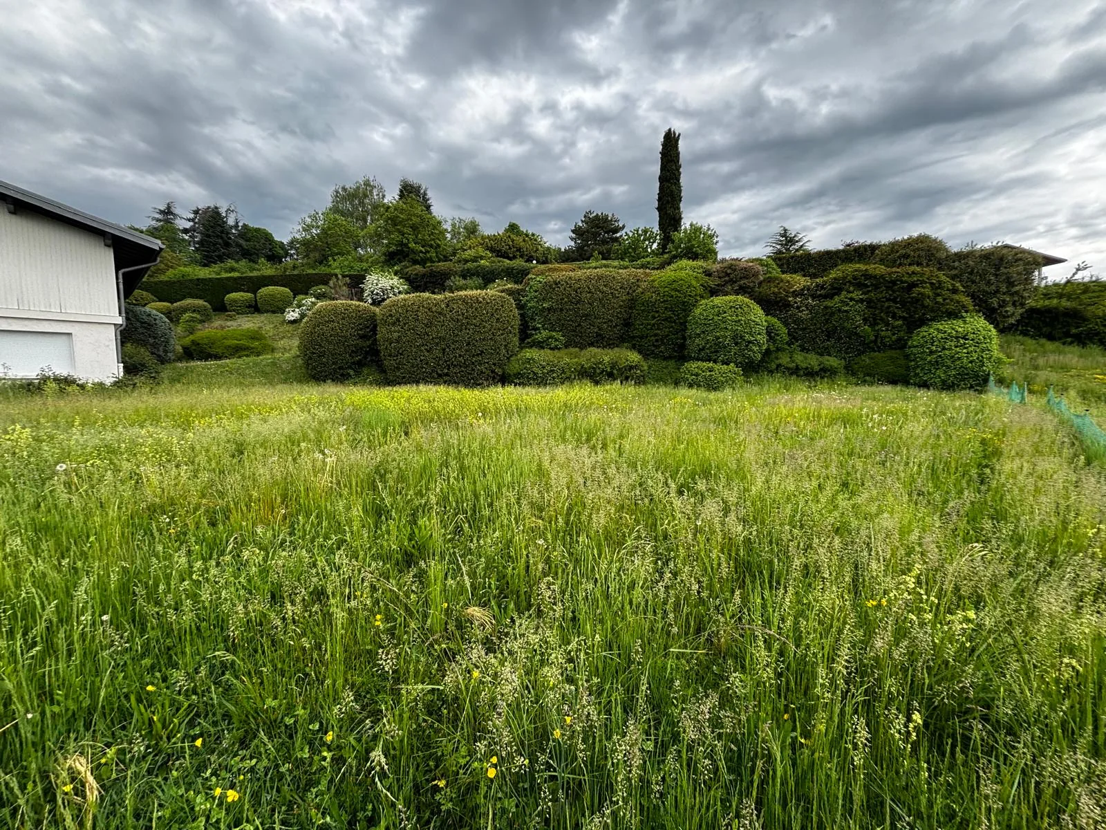 Terrain avec hautes herbes à entretenir